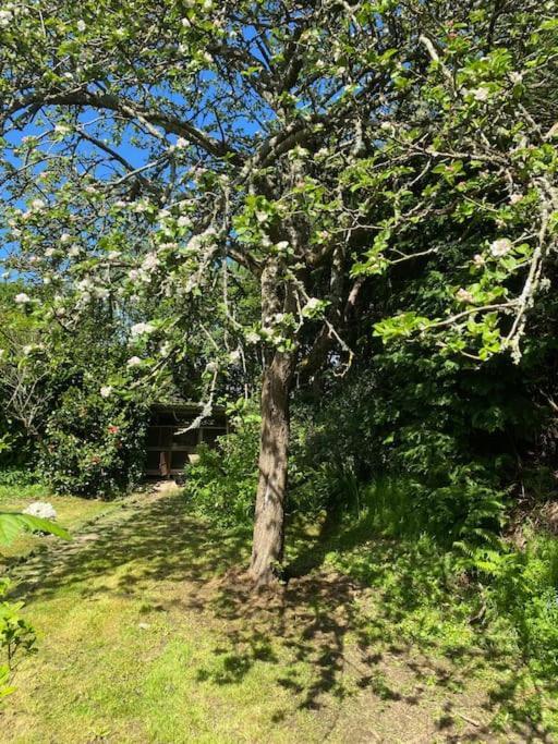 Jolie Maison A La Campagne « Chez Germaine » Digosville 외부 사진